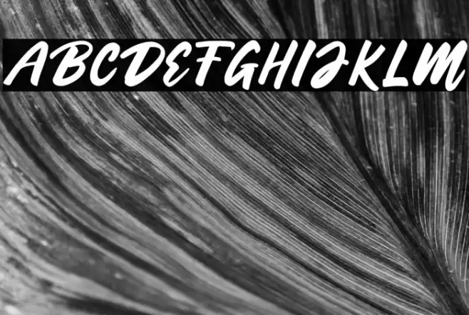 Belynda Font examples