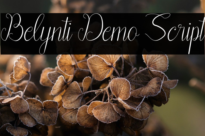 Belynti Demo Script Example 1