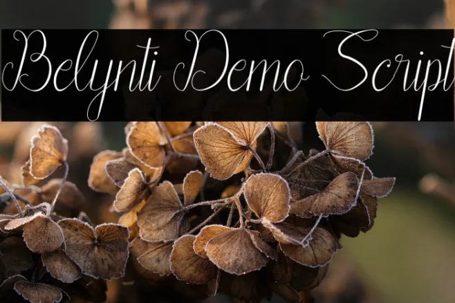 Belynti Demo Script Example 1