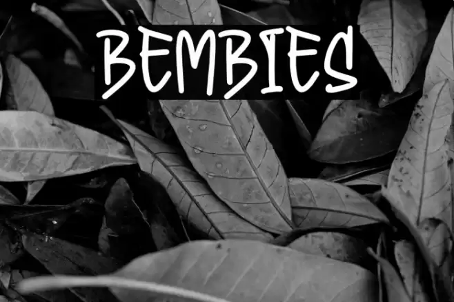 Bembies Font examples
