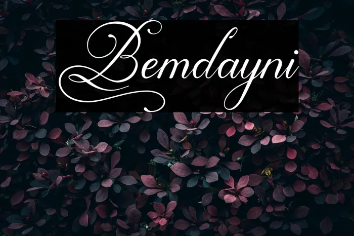 Bemdayni Example 2