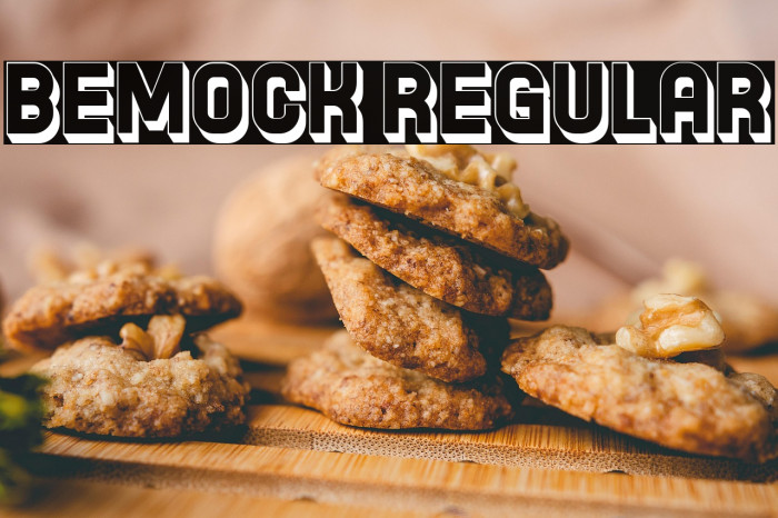 Bemock Regular Example 2