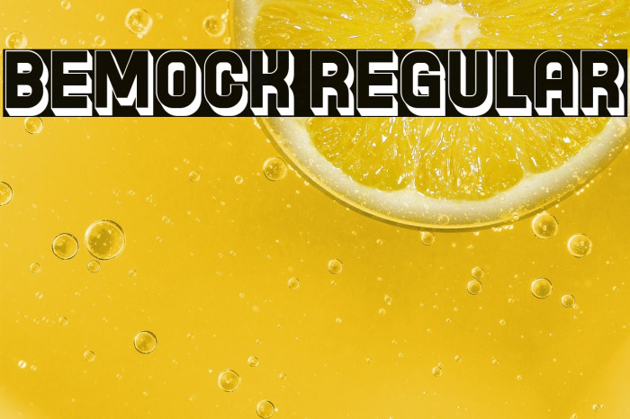 Bemock Regular Example 3