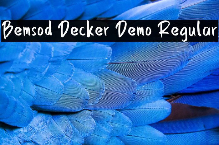 Bemsod Decker Demo Regular Example 1