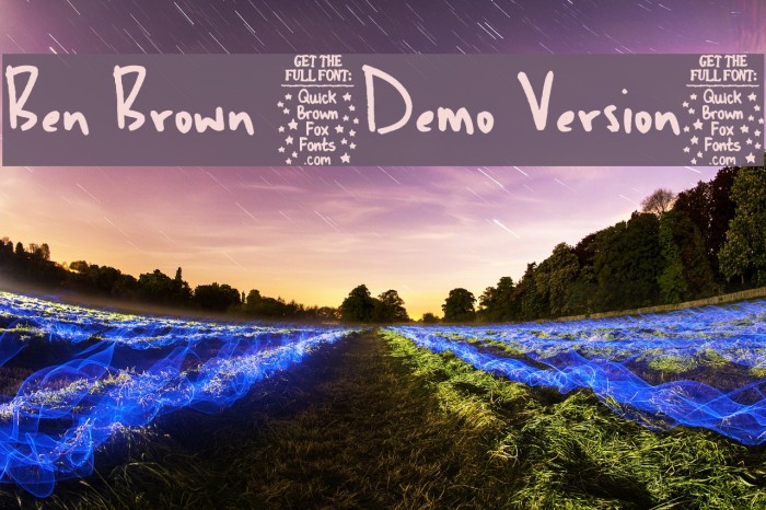 Ben Brown [Demo Version] Example 3