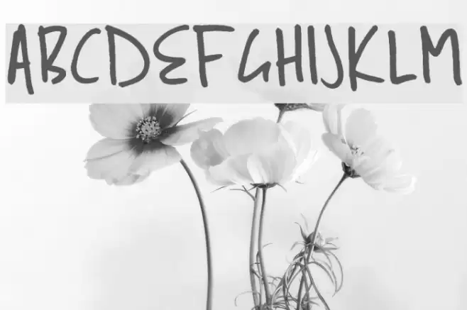 Ben Brown Font examples