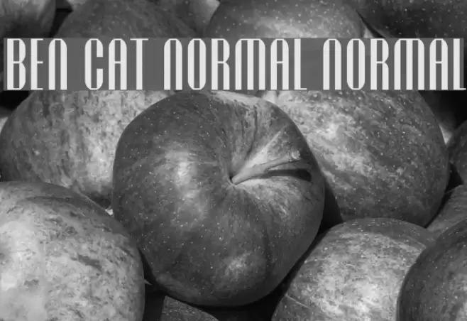 Ben Cat Normal Normal Font examples