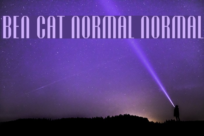 Ben Cat Normal Normal Font examples