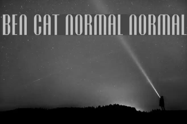 Ben Cat Normal Normal Font examples
