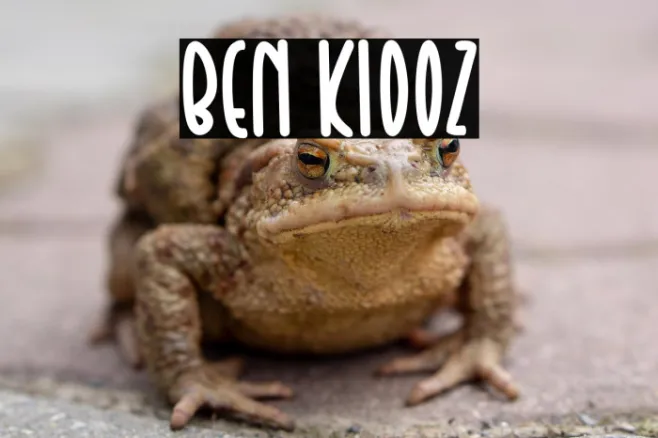 Ben Kidoz Example 2