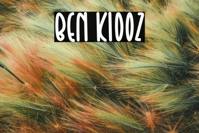 Ben Kidoz Example 3