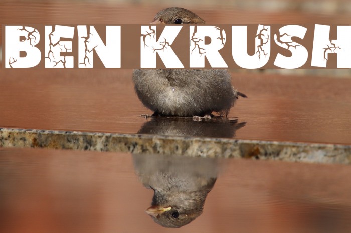 Ben Krush Font examples