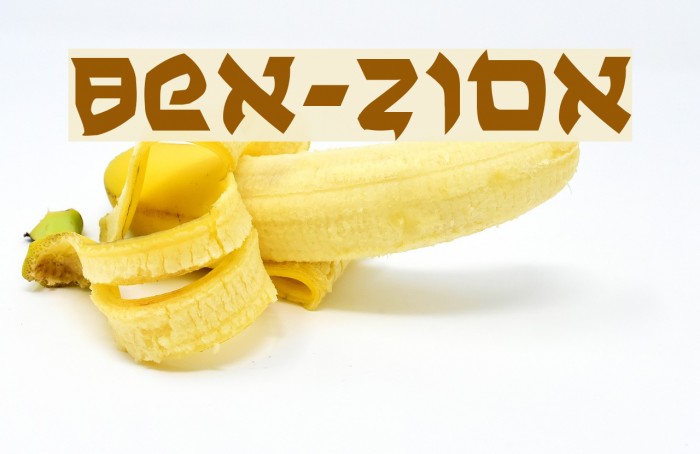 Ben-Zion Polices examples
