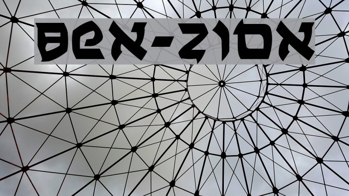 Ben-Zion Polices examples
