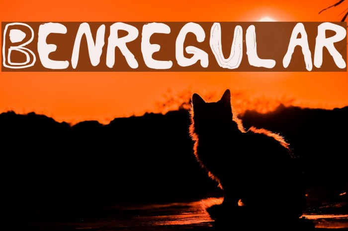 BenRegular Example 1