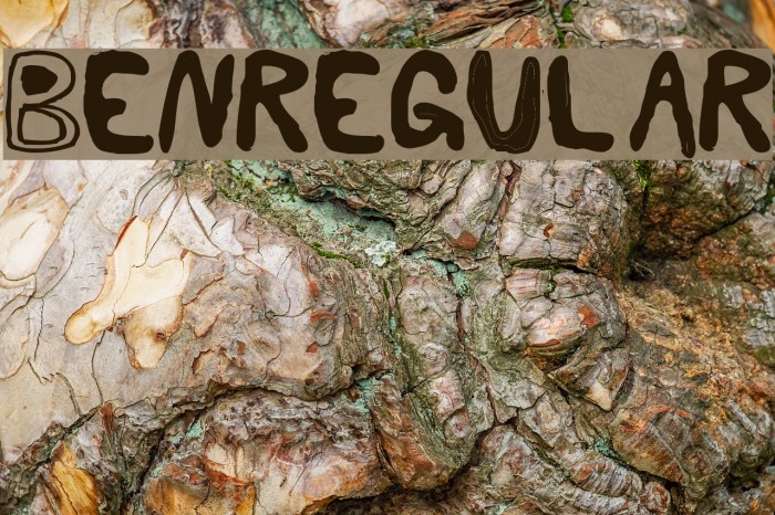 BenRegular Example 2