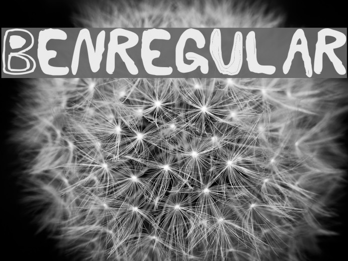 BenRegular Example 3