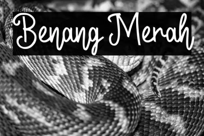 Benang Merah Font examples
