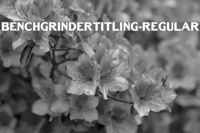 BenchGrinderTitling-Regular Font examples