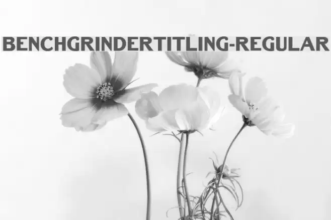 BenchGrinderTitling-Regular Font examples