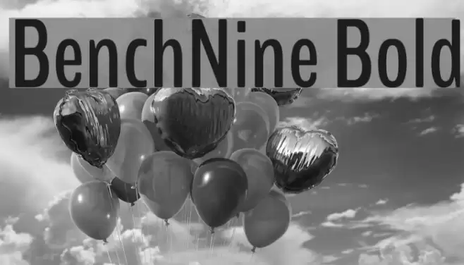 BenchNine Bold Font examples