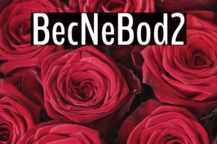 BenchNine Bold2 Example 1