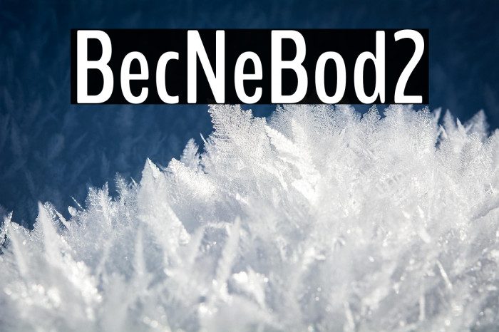 BenchNine Bold2 Example 2