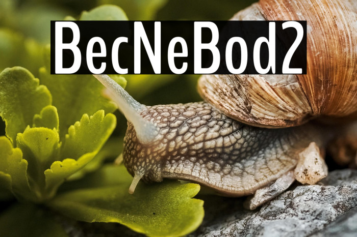 BenchNine Bold2 Example 3