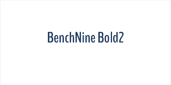 BenchNine Bold2 Logo