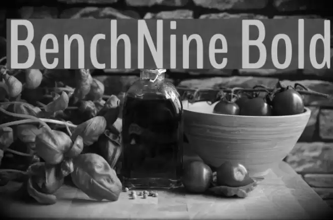 BenchNine Bold Font examples