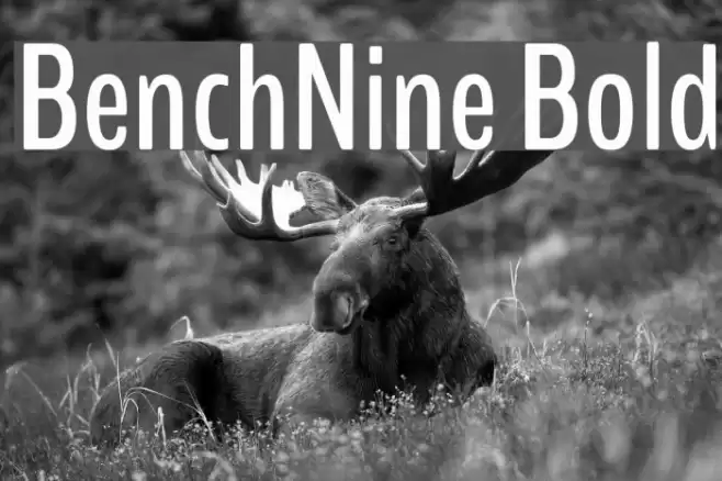 BenchNine Bold Font examples