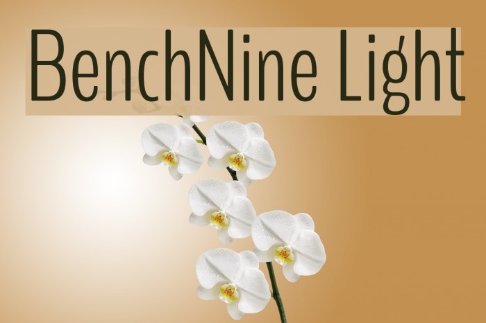 BenchNine Light Font examples