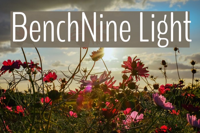 BenchNine Light फ़ॉन्ट examples