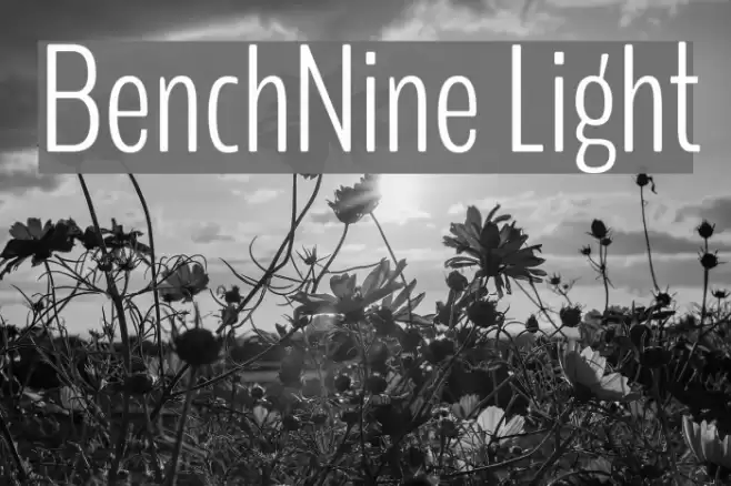 BenchNine Light Font examples