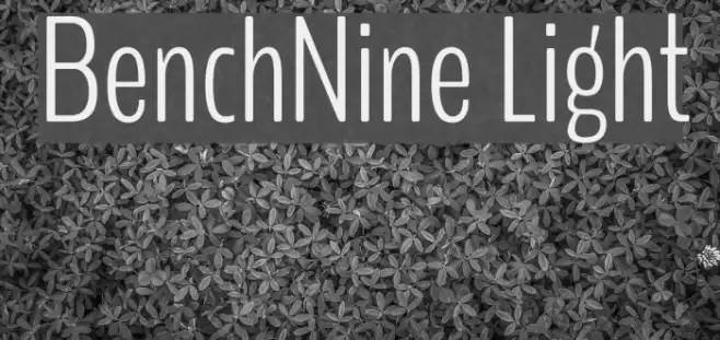 BenchNine Light Font examples