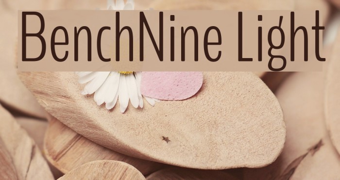 BenchNine Light फ़ॉन्ट examples