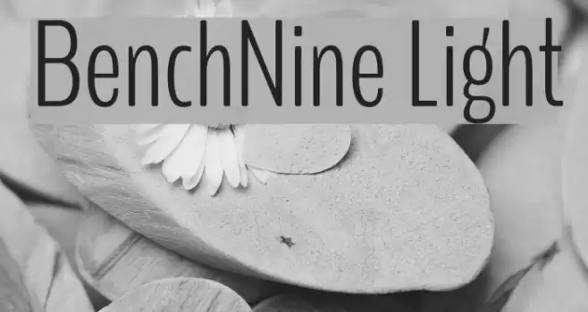 BenchNine Light Font examples