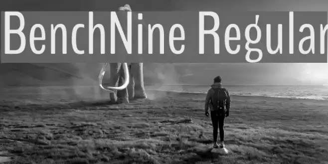 BenchNine Regular Font examples
