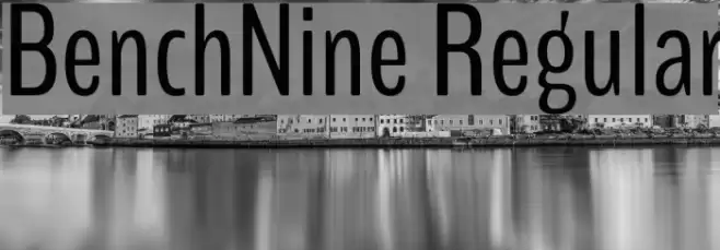 BenchNine Regular Font examples