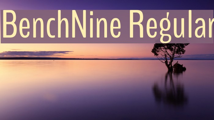 BenchNine Regular Example 2