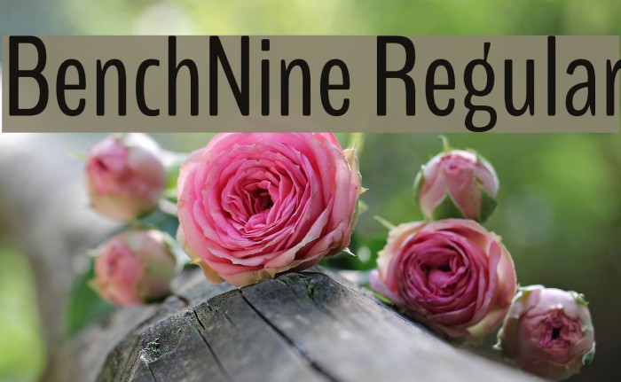 BenchNine Regular Example 3