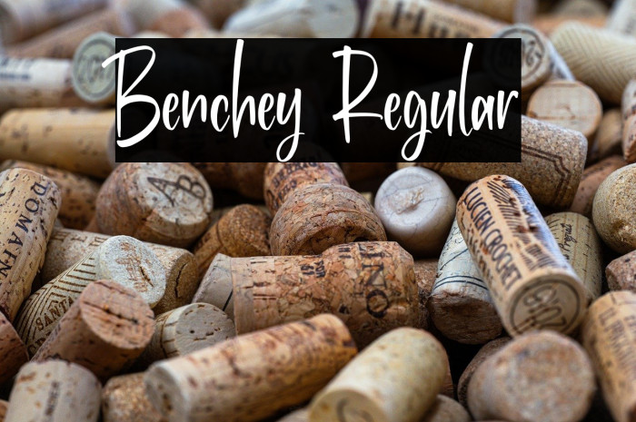 Benchey Regular Example 2