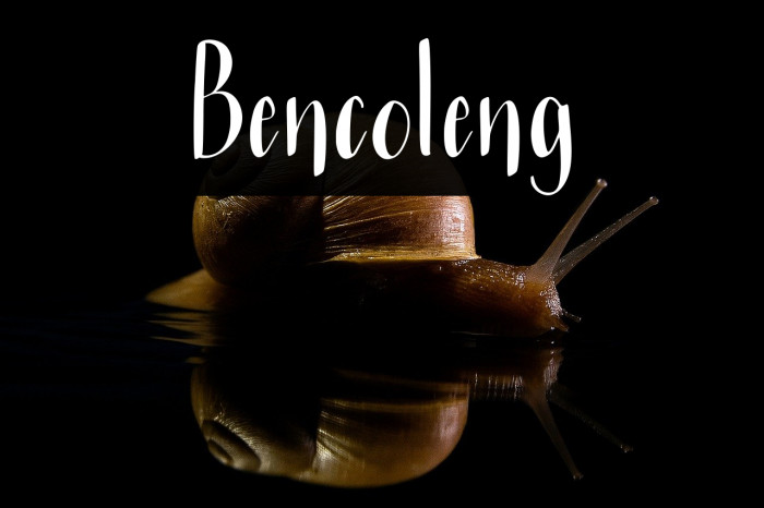 Bencoleng Example 2