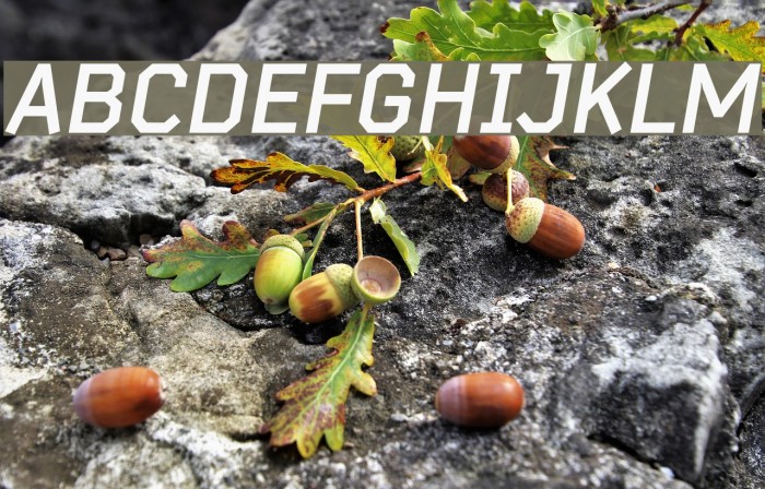 Bender-BoldItalic Example 3