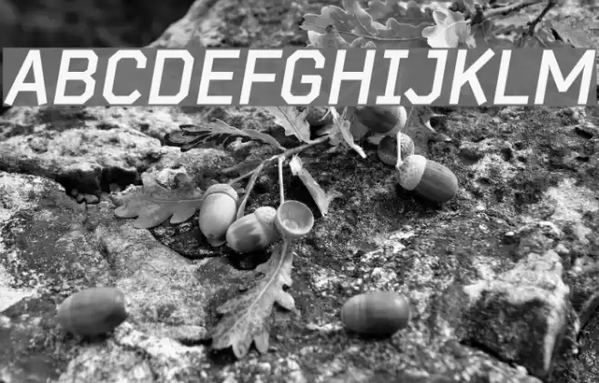 Bender-BoldItalic Font examples