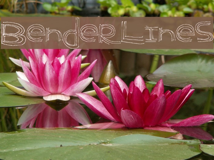 BenderLines Font examples