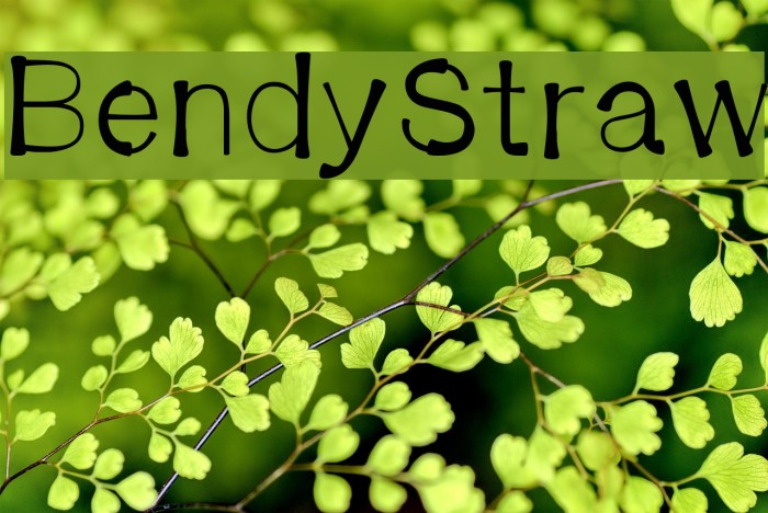 BendyStraw Font examples