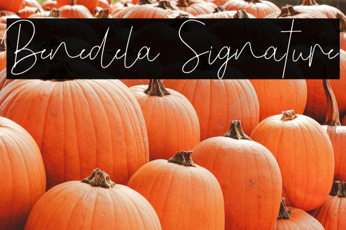 Benedela Signature Example 1