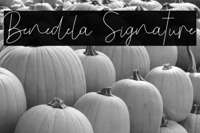 Benedela Signature Font examples