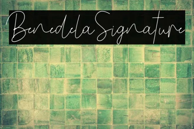 BenedelaSignature Example 1